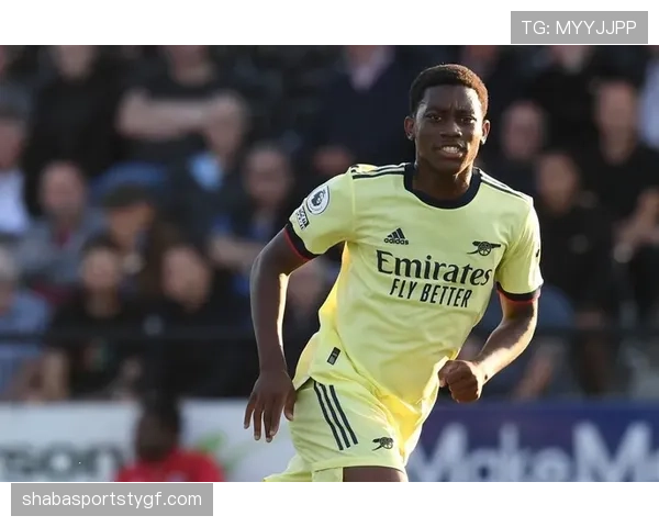 纽卡赛季后期状态波动，表现受限对竞争格局带来变化